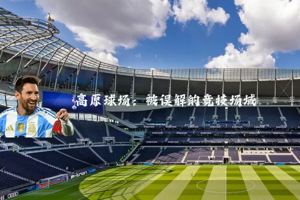 高原球场：被误解的竞技场域